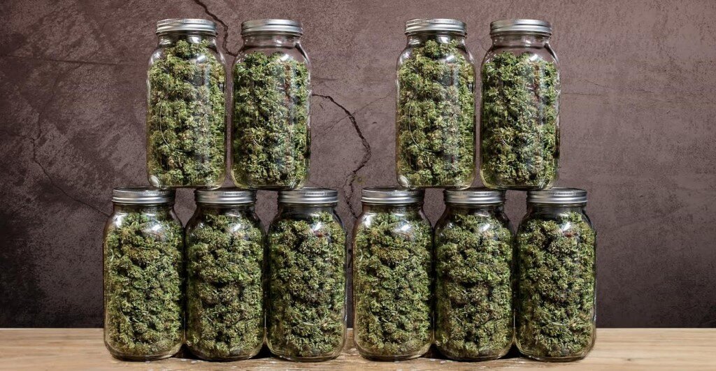 Как марихуану хранить микс семян конопли
